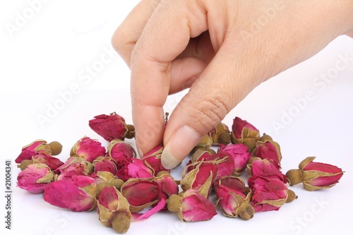Rosebud with hand