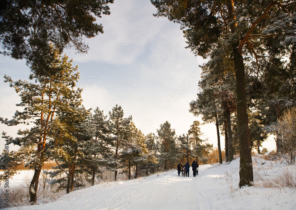winter rural scene winter rural scene