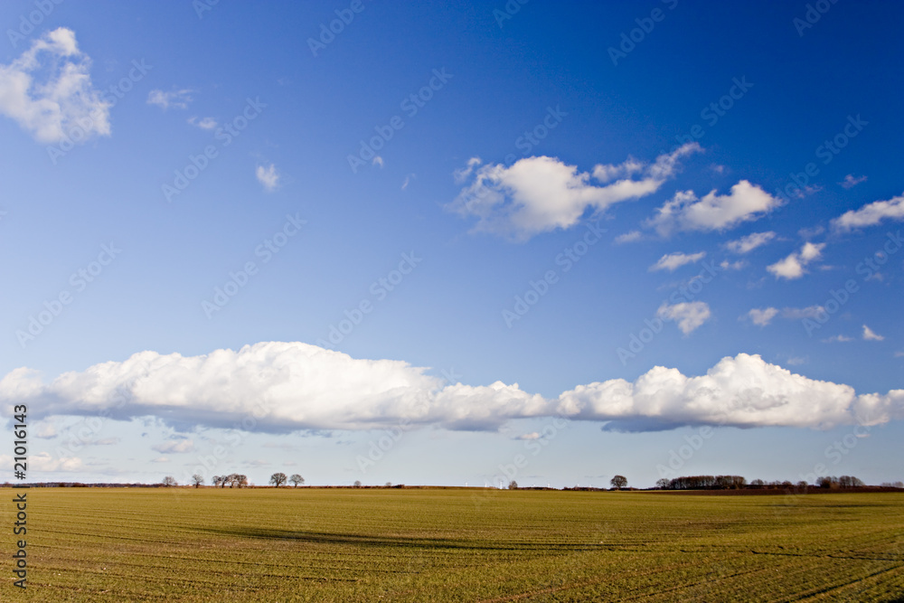 Acker - blauer Himmel mit Cumulus als Hintergrund