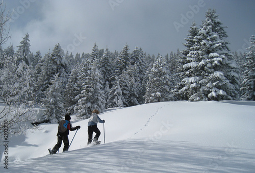 Raquettes à neige au Glières 2
