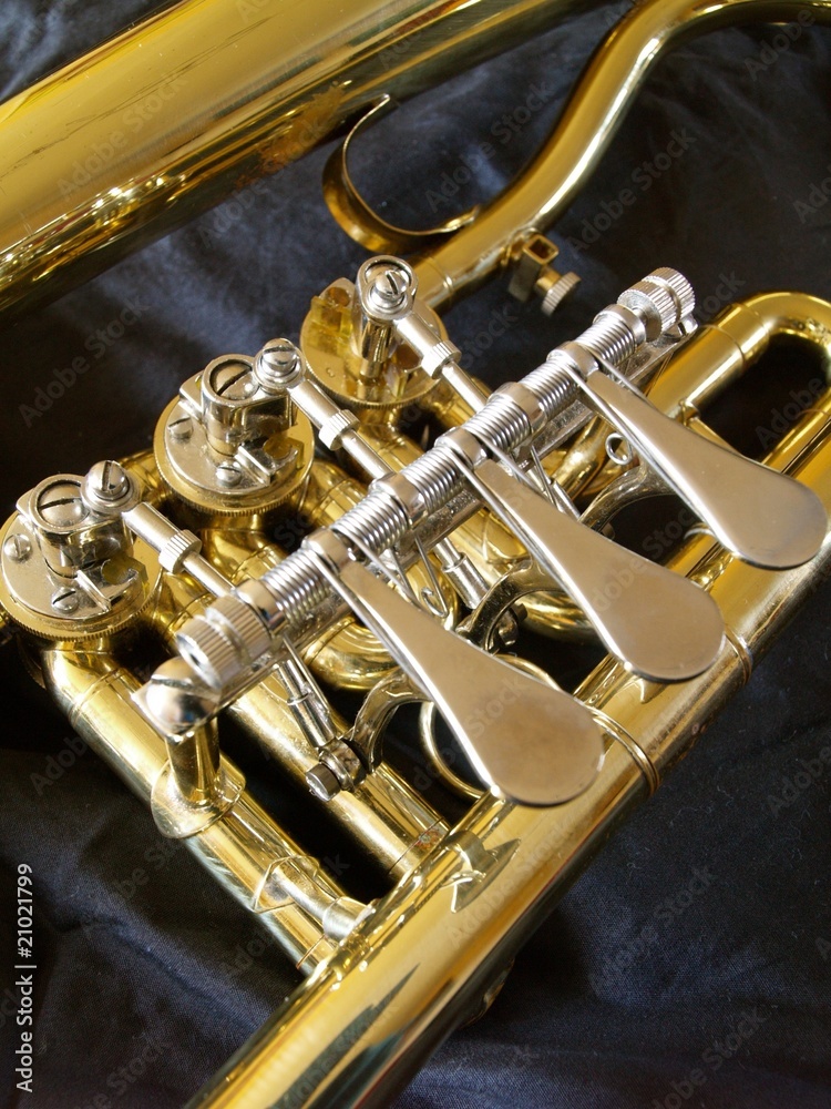 Obraz premium Flügelhorn Detail 04