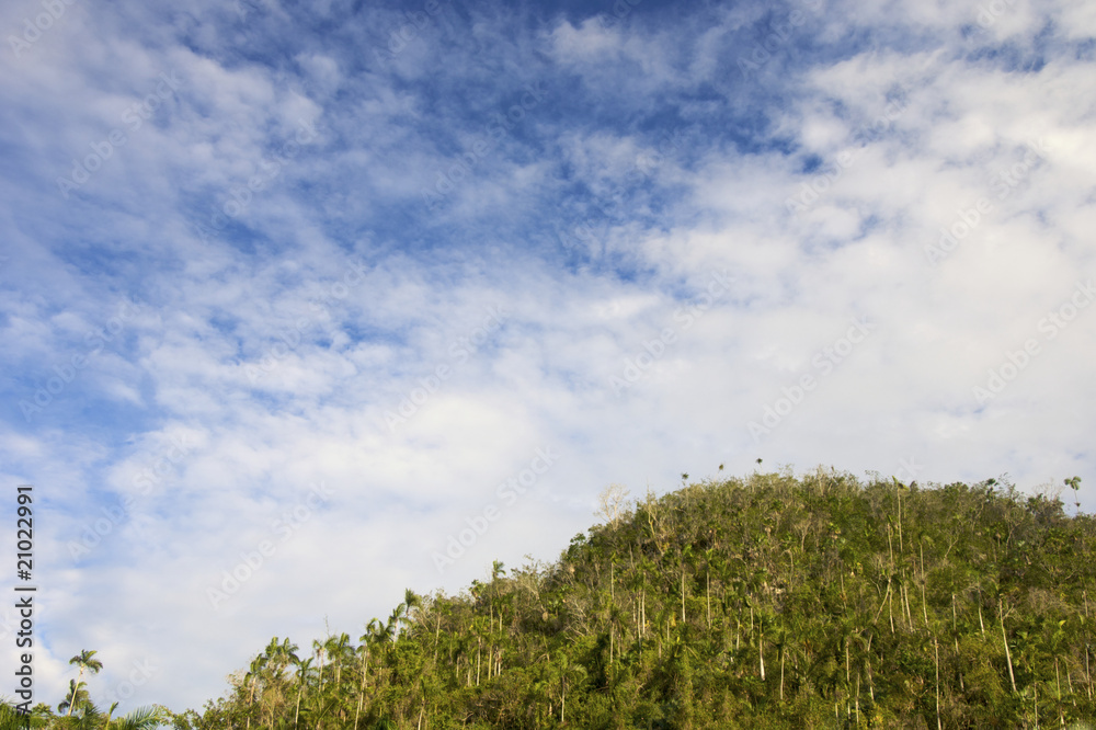 Obraz premium jungle in Cuba