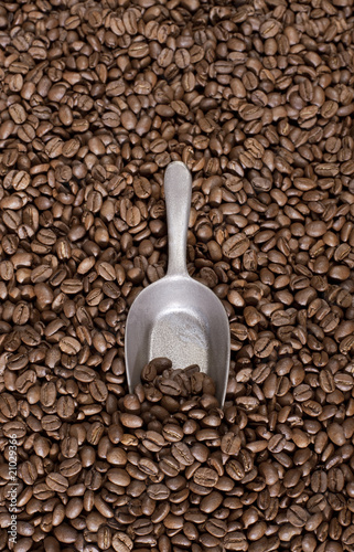 Coffee beans background photo