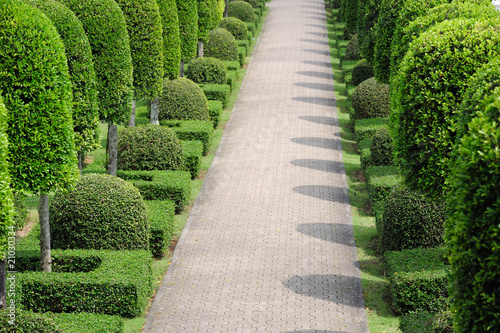 Garden with Walkway