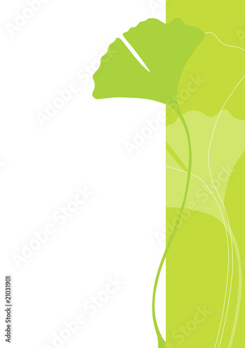 Ginkgo Background