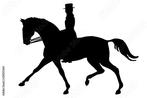 The horseman on a horse