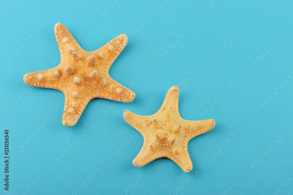 Two starfishes on a blue background Two starfishes on a blue background