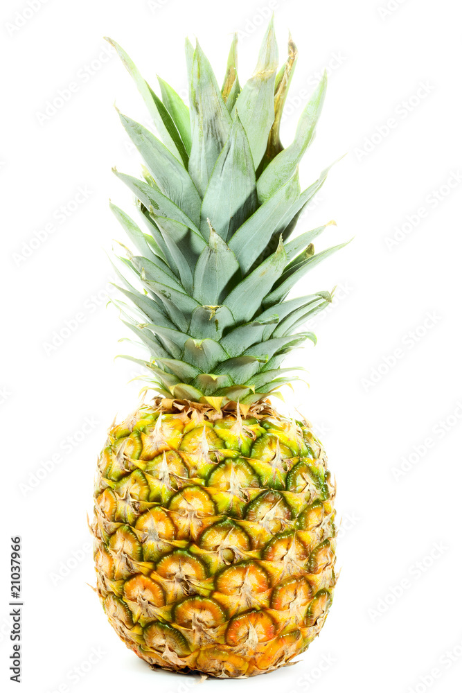 Pineapple isolated on white background Pineapple isolated on white background