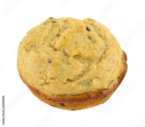 Single chocolate chip muffin
