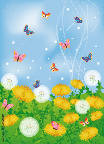 Butterflies and dandelions, vector