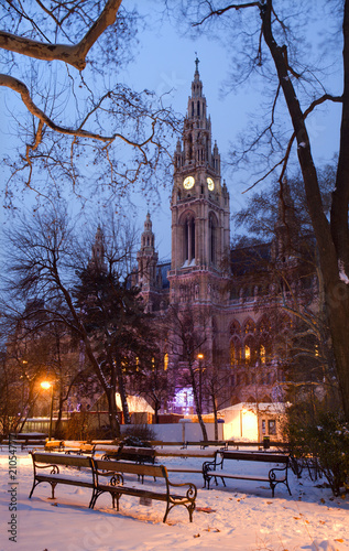 Vienna- town-hall in winter morning