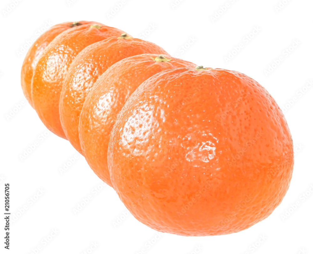 Tangerine Tangerine