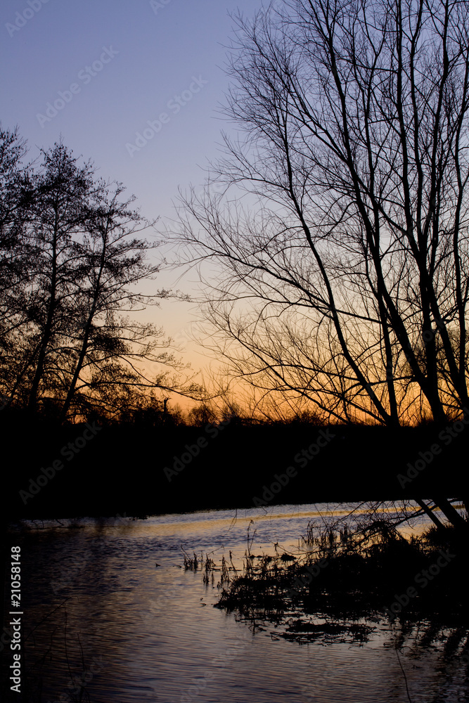 Tree and River at Dawn,