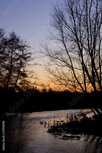 Tree and River at Dawn 