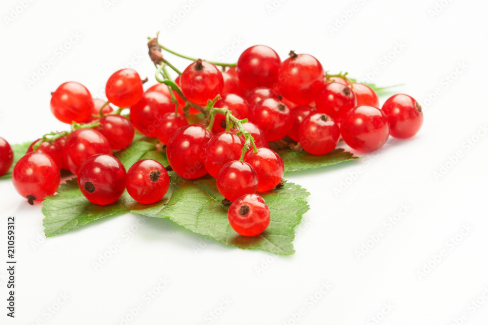 Red currant fruit and green leaves. Red currant fruit and green leaves.
