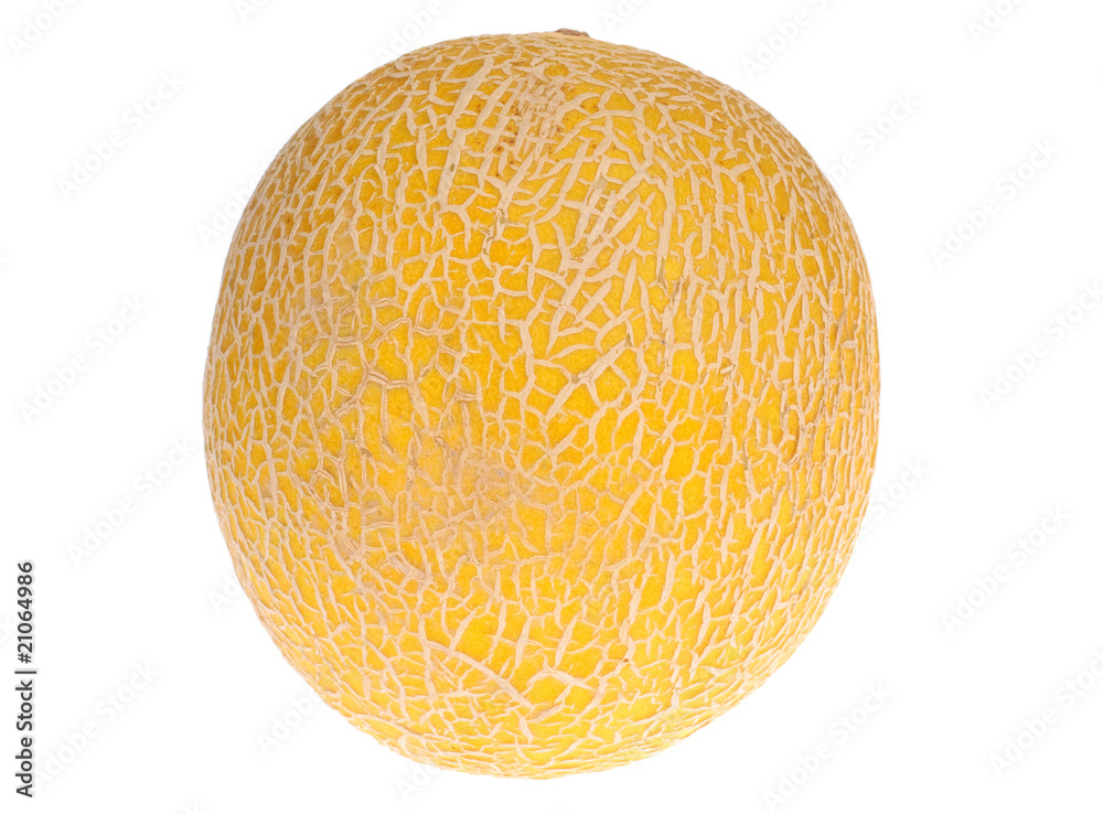 melon isolated on white melon isolated on white