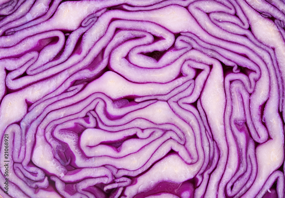 Obraz premium Cut red cabbage close-up