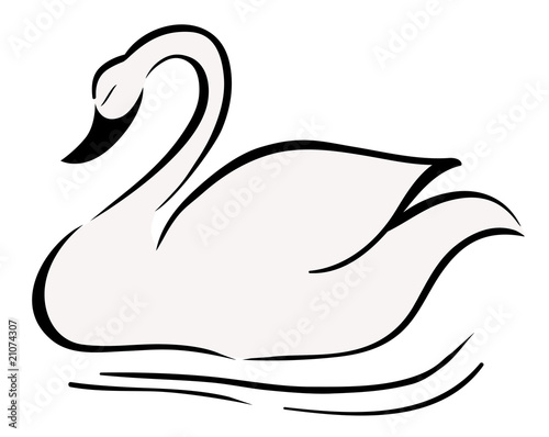 swan