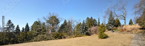 Park - Panorama (made with AutoStitch) photo