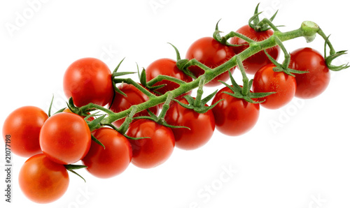 grappe tomates cerises fond blanc