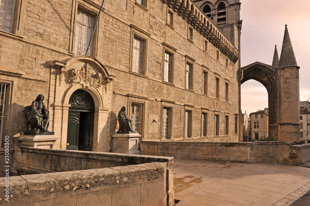 Fototapeta premium faculté de médecine, Montpellier