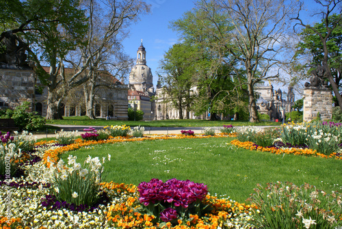 Frühling in Dresden
