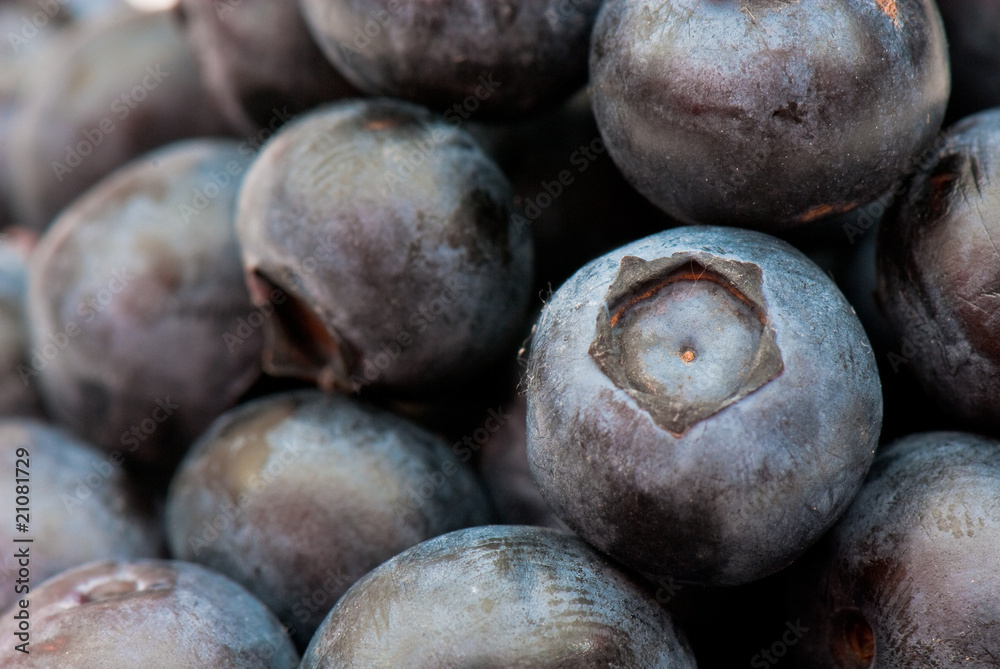 Obraz premium blueberry
