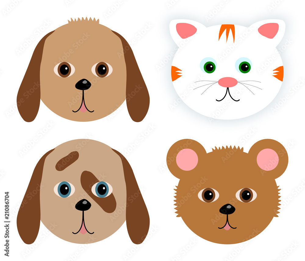 Mammal faces
