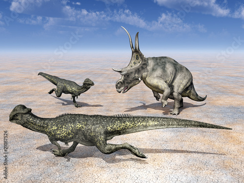 Diabloceratops und Stegoceras