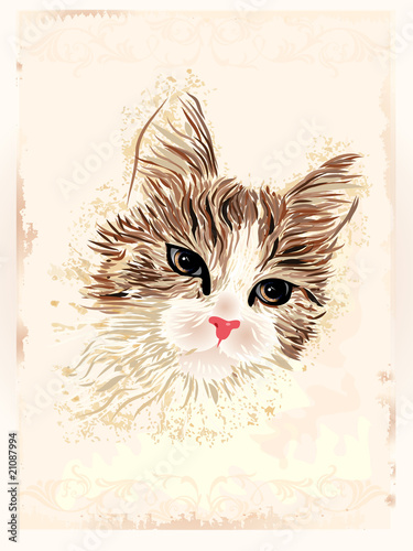 vintage portrait of the cat