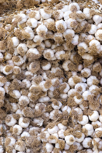Stack  of Garlic at the market