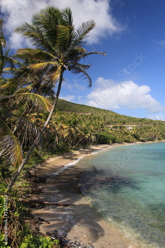 Fototapeta Naklejka Na Ścianę i Meble -  Tropical beach on Bequia Island, St. Vincent in the Caribbean