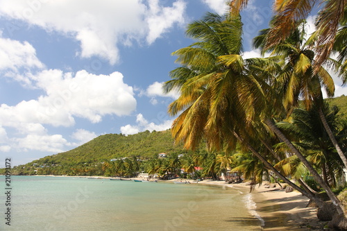 Fototapeta Naklejka Na Ścianę i Meble -  Beach with palm trees on St. Lucia in the Caribbean