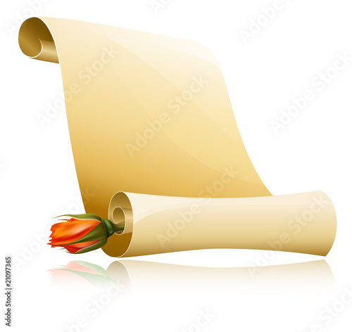 Vector illustration. Paper scroll with rose.