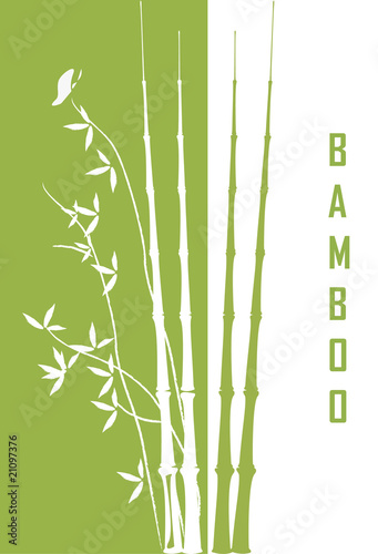 bamboo