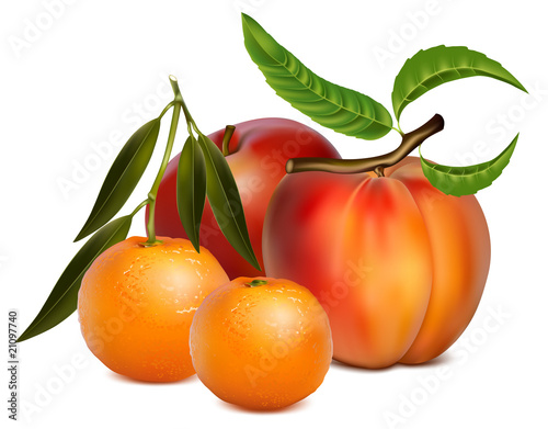 Vector illustration of fruits.