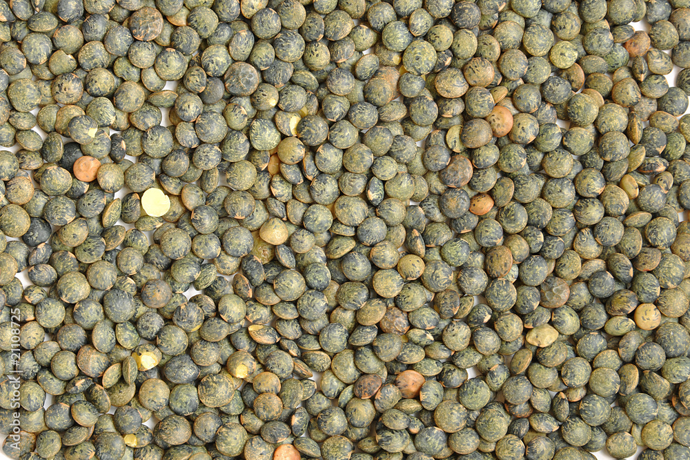 Fond de lentilles vertes du Puy, arrière plan de légumineuses, nutrition et alimentation Fond de lentilles vertes du Puy, arrière plan de légumineuses, nutrition et alimentation