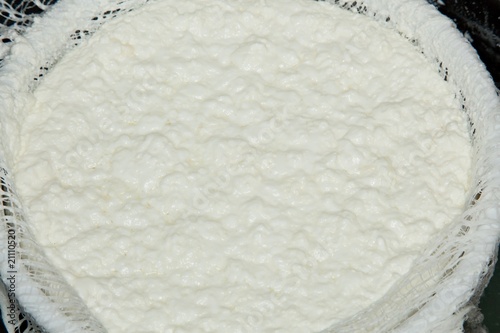 Making cottage cheese