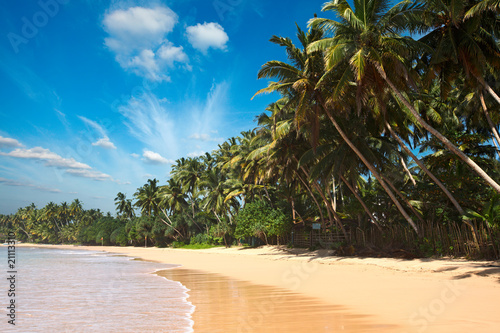 Fototapeta Naklejka Na Ścianę i Meble -  Idyllic beach. Sri Lanka