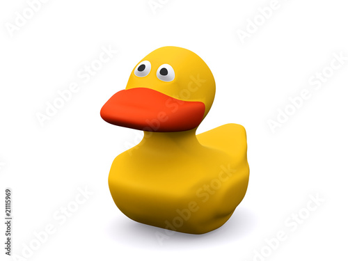 duck