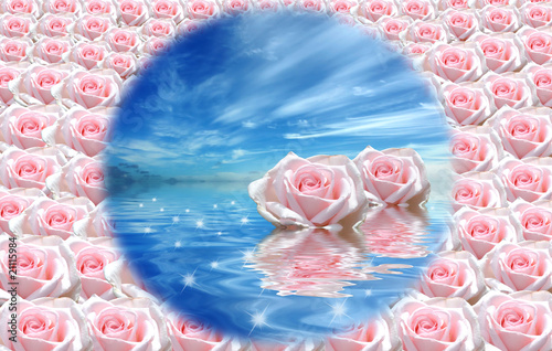 Rosa Blüten und Himmelblau