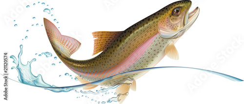 Fotografie, Obraz Jumping trout