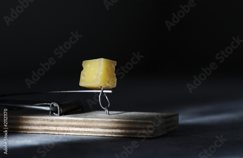 Mousestrap with cheese closeup