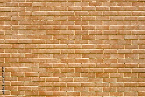 Red Brick Wall photo