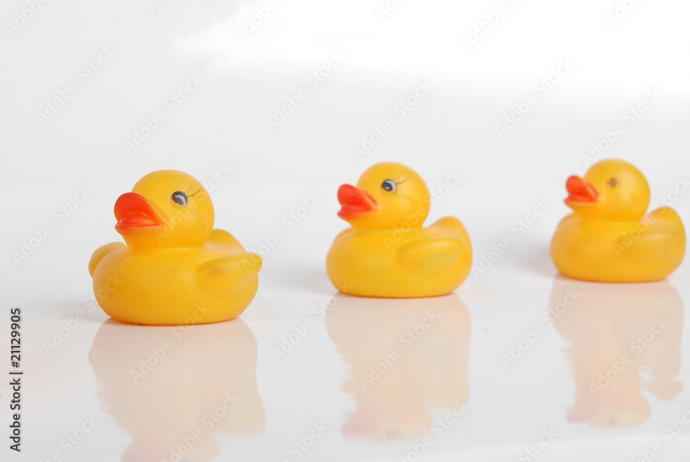 duck duck