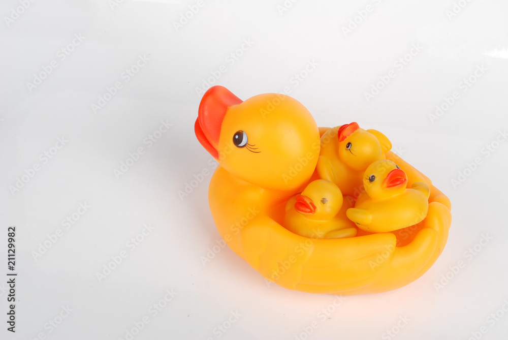 duck duck