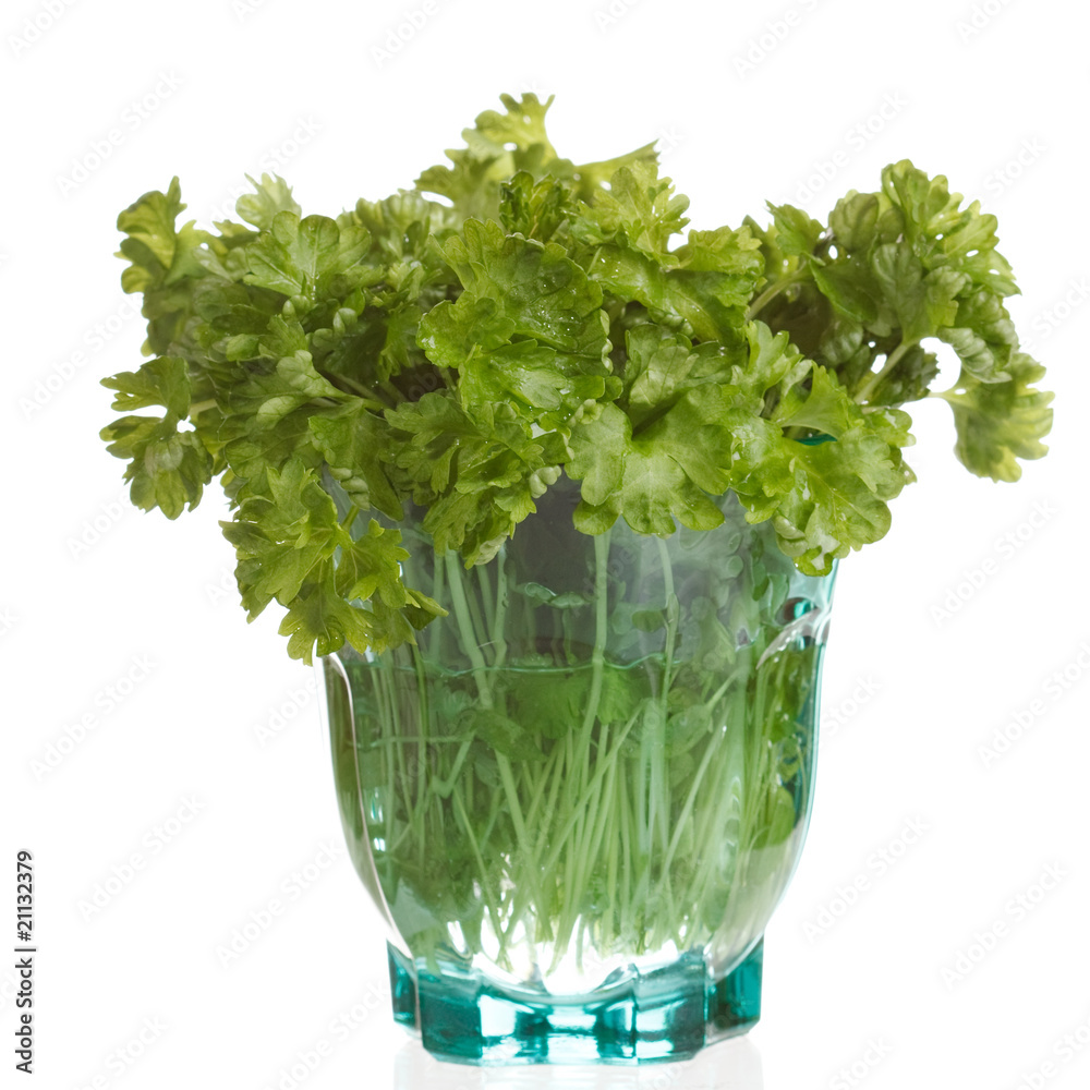 fresh parsley. fresh parsley.