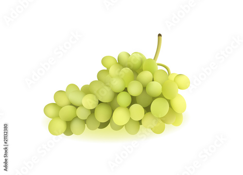 grape vector illustration