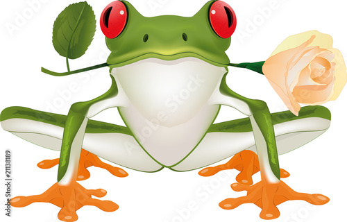frog with a rose