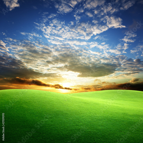 field of grass and perfect sunset sky
